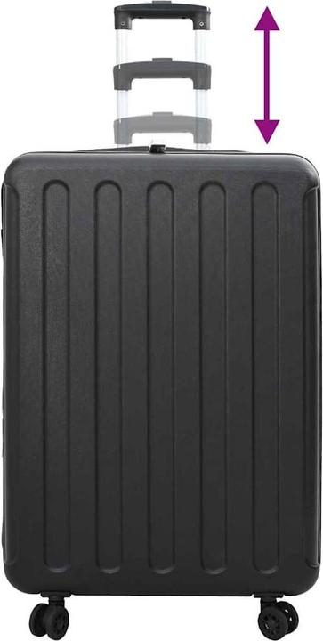 Actual product image VidaXL Black case