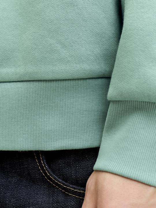 Produktbild Jack & Jones JJELOGO SWEAT HOOD 2 COL 25/26 NOOS (XL)