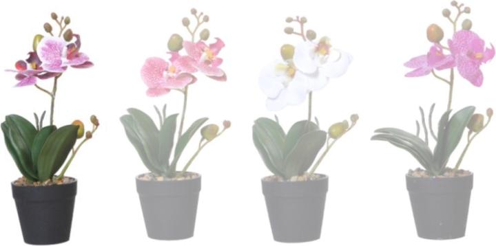 Produktbild Disco Möbel Orchidee (28 cm)
