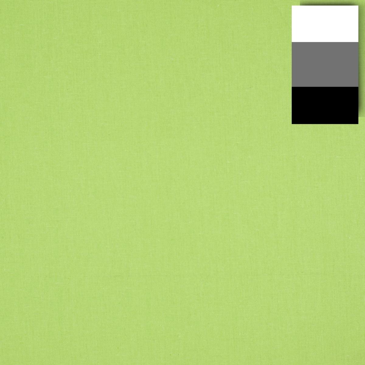 Walimex pro Stoffhintergrund (285 cm, 600 cm), Hintergrundsystem, Grün
