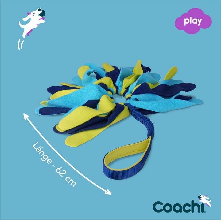 Actual product image Company of Animals Coachi reward game Tuggi Spider (Dog activity toy)