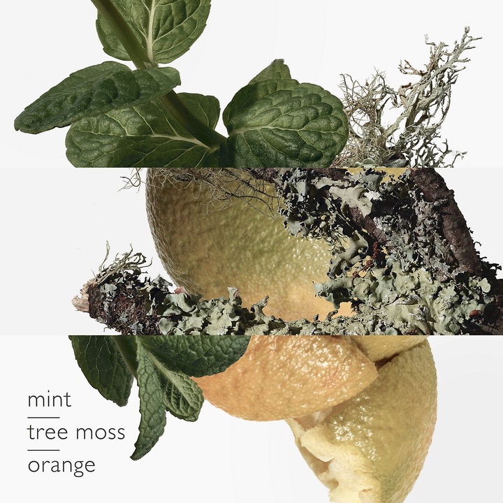 Produktbild Hermès Eau d'Orange Verte (Eau de Toilette, 50 ml)