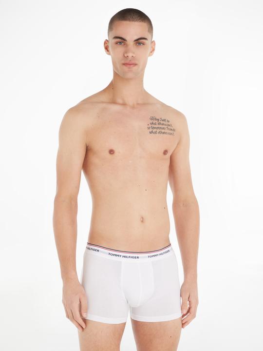 Image du produit Tommy Hilfiger Trunk (L, Lot de 3)