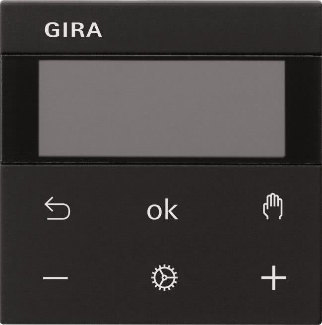 Actual product image Gira RTR Display 5393005