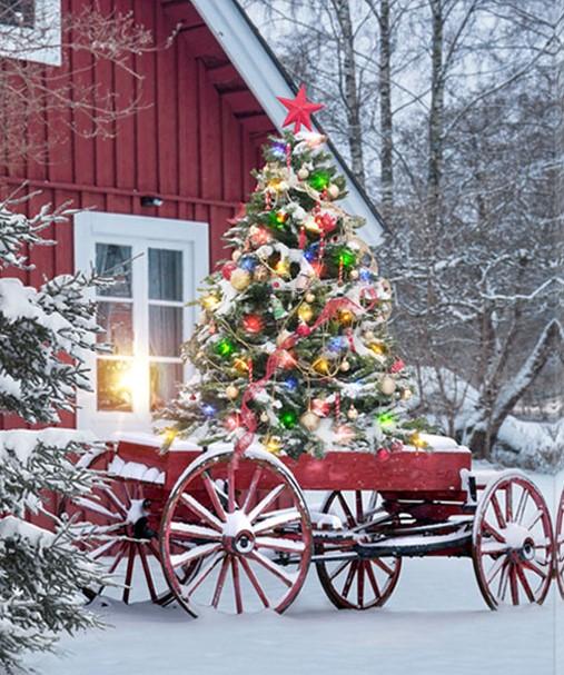 Produktbild GuGus Bild (40 x 50 cm)