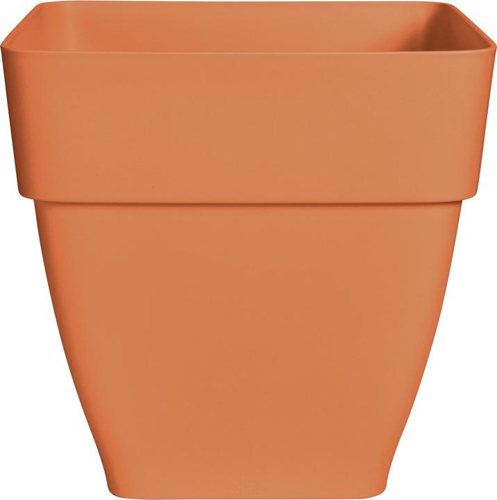 Actual product image Elho Flower box (30 x 29 x 28 cm)
