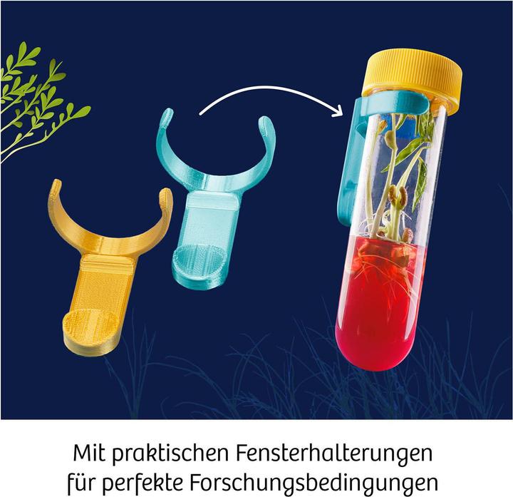 Actual product image Kosmos Fun Science Aqua-Gel Plants