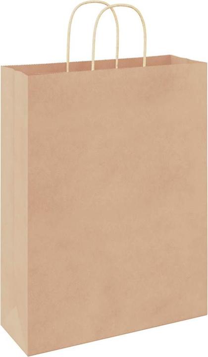 Actual product image vidaXL Papiertragetasche (50 pcs.)