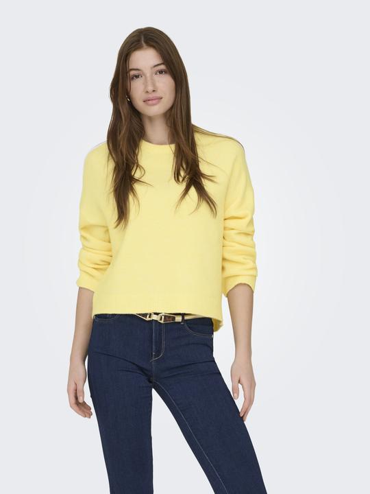 Actual product image Only ONLSIMONI Strickpullover Strickpullover (L)