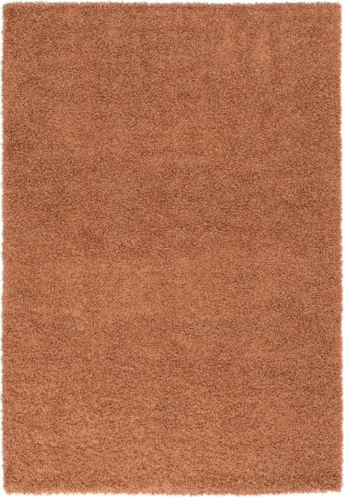 Produktbild Pergamon Hochflor Langflor Shaggy Teppich Fluffy (140 x 200 cm)