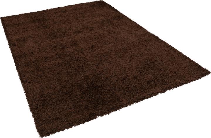 Produktbild Pergamon Hochflor Langflor Shaggy Teppich Fluffy (120 x 170 cm)