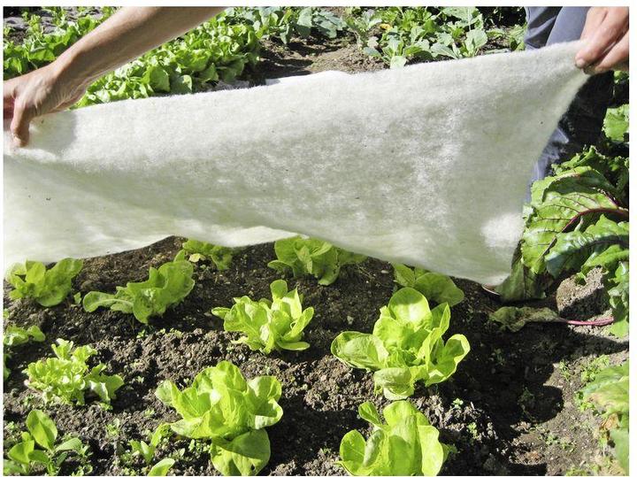 Image du produit Windhager Couverture en laine de mouton