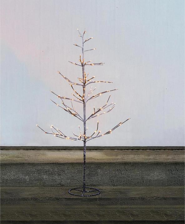 Actual product image Sirius Alex