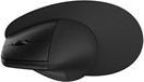 Productafbeelding HP 920 Ergonomic Wireless Mouse (Draadloze)
