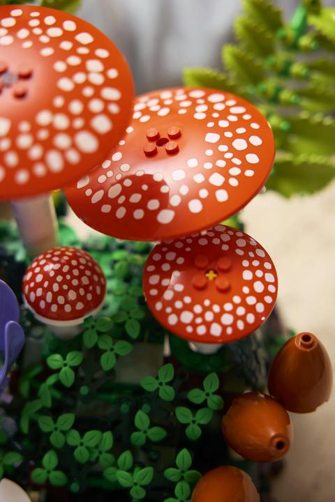Produktbild LEGO Waldpilze (11505, LEGO Botanicals)