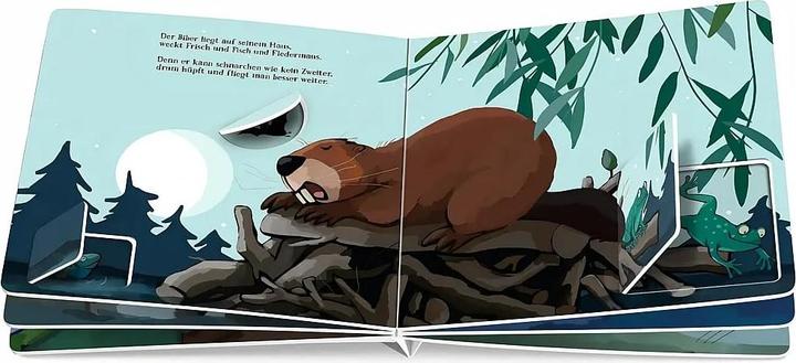 Actual product image Nanu! Wer ist denn da noch wach? (German)