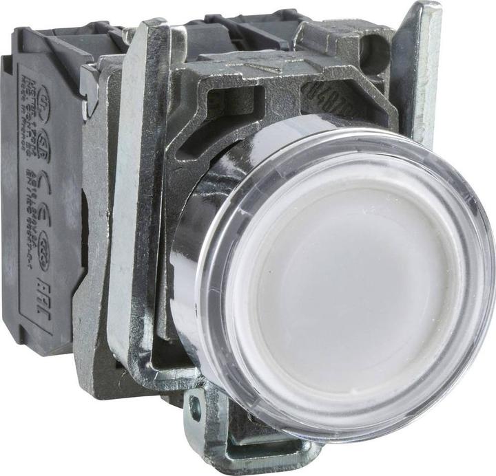 Actual product image Schneider Electric Pushbutton XB4BW31B5