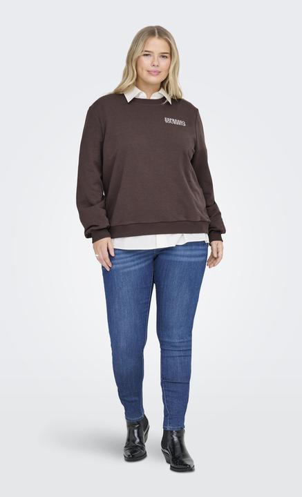 Produktbild Only CARSONNY Sweatshirt Sweatshirt (42)