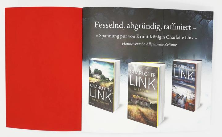 Actual product image Der Beobachter (German, Charlotte Link, 2011)