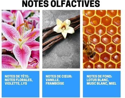 Ayat Duftender Nebel mit orientalischen Aromen für Damen und Herren - Moschus Tahara (250 ml, Körper- & Haarduftspray)