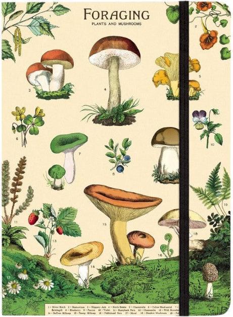 Produktbild Cavallini Notizbuch Pilze