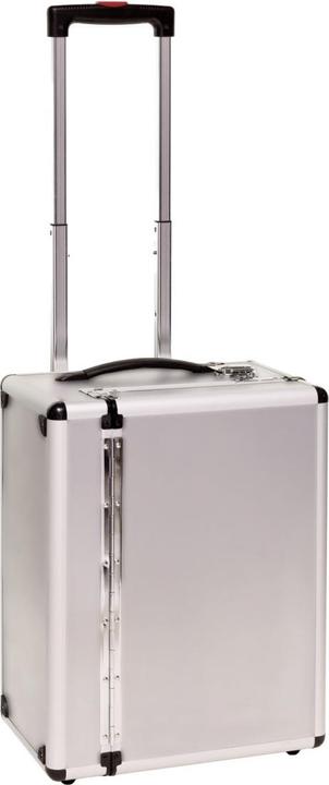 Dema Trolley Alu-Koffer "Silver Stripe" / Pilotenkoffer