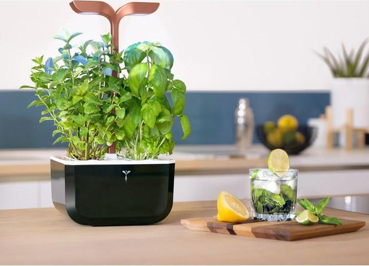 Produktbild Véritable Exksy Smart (18.20 cm)