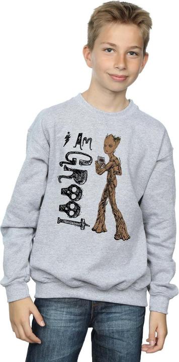 Produktbild Avengers Infinity War I Am Teenage Groot Sweatshirt Jungen (152, 158)