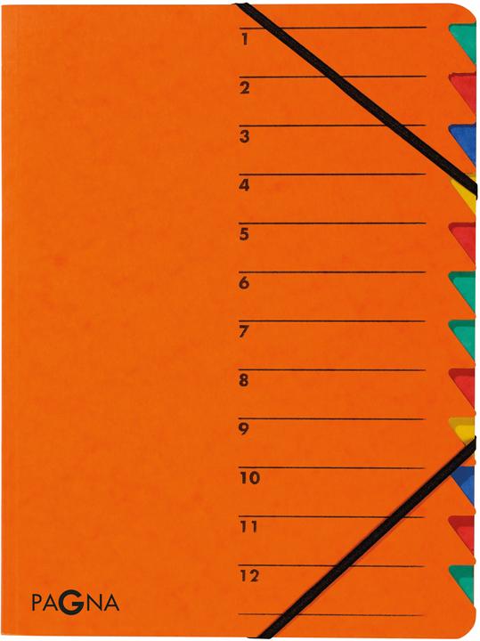 Produktbild Pagna Ordnungsmappe EASY (A4, 1x)