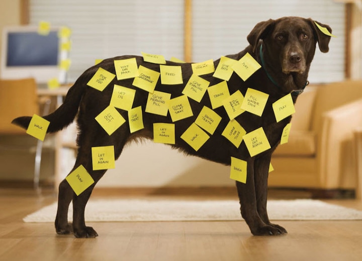 Image du produit Post-it Notes (76 x 76 mm)