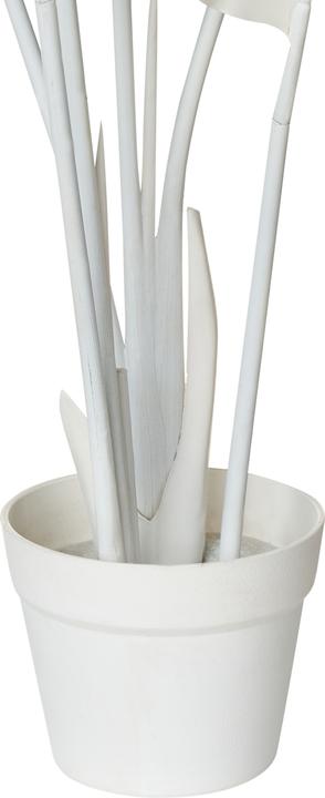 Immagine prodotto Beliani Banana Tree (123 cm)