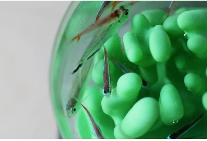 Actual product image Polymaker PJ01011 PolySmooth Filament polishable 1.75 mm 750 g Transparent 1 pc (PVB, 1.75 mm, 750 g, Transparent)