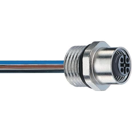 Belden Accoppiamento incorporato, Cavo + Spina elettrica