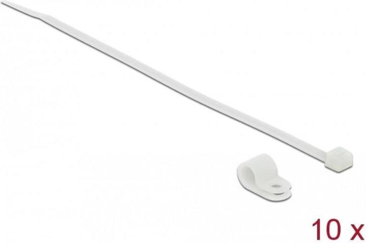 Actual product image Delock Cable tie kit - 25 cm - white (22 mm, 10 pcs.)