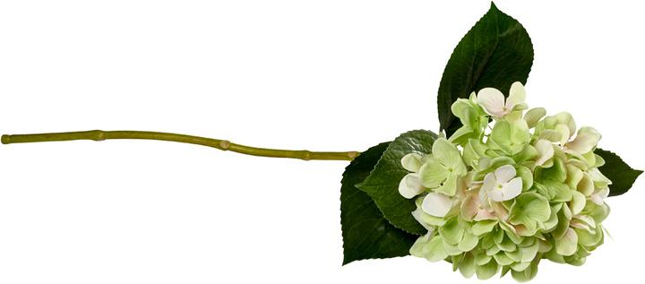 Villeroy & Boch E Fleurs artificielles