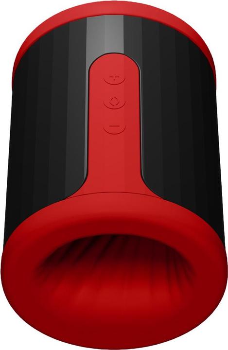 Image du produit LELO F2S