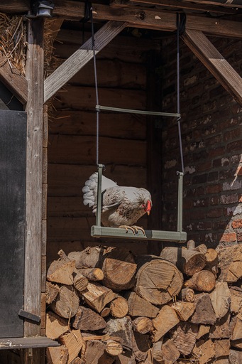 Image du produit Beeztees Mangeoire pour poules Balançoire, Gris