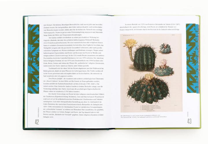 Actual product image Ethnobotanik (German, Bettina Eschenhagen, Sarah Dr Edwards, 2024)