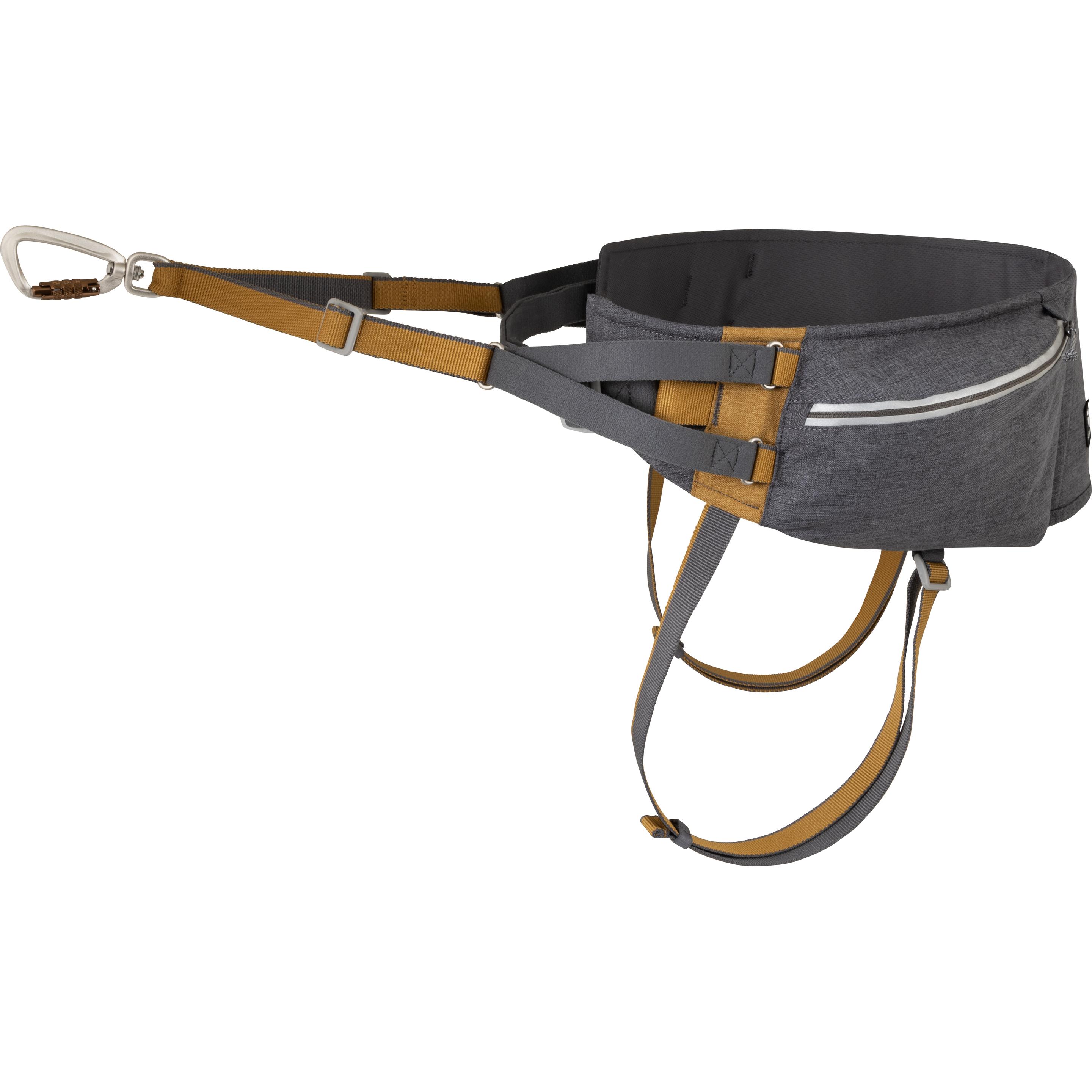 Meilleurs prix pour Hurtta Expedition Belt ECO, blackberry 70-110, Vêtements pour chien