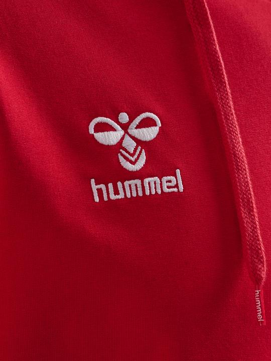 Actual product image hummel HMLGO 2.0 HOODIE (XXL)