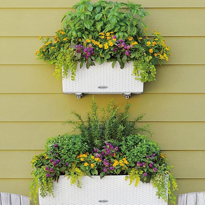 Actual product image Lechuza Balconera Cottage (19 cm)
