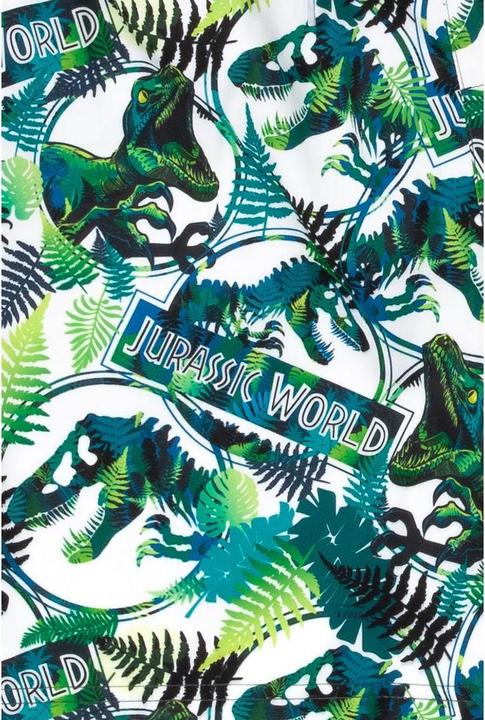 Actual product image Jurassic World Short de bain Dinosaure pour garçons (116)