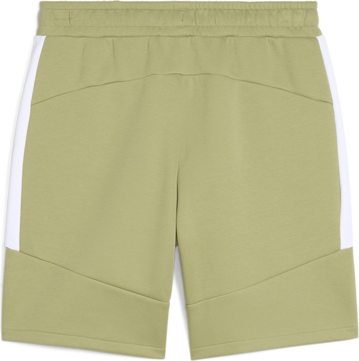 Actual product image Puma teamEVOSTRIPE Shorts (M)