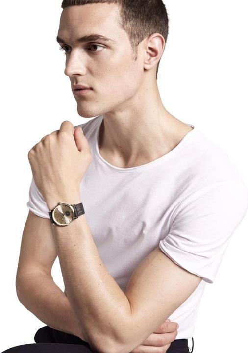 Actual product image Triwa Ray Falken Black Stripe Classic (Analogue wristwatch, 38 mm)