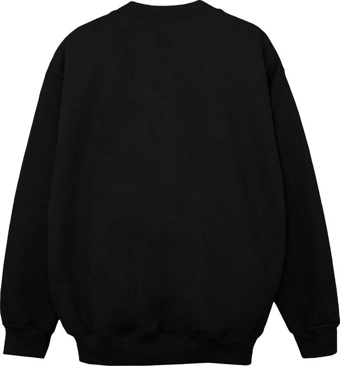Image du produit Disney - Sweat FROZEN SALAMANDER BRUNI ELEMENT - Garçon (116)