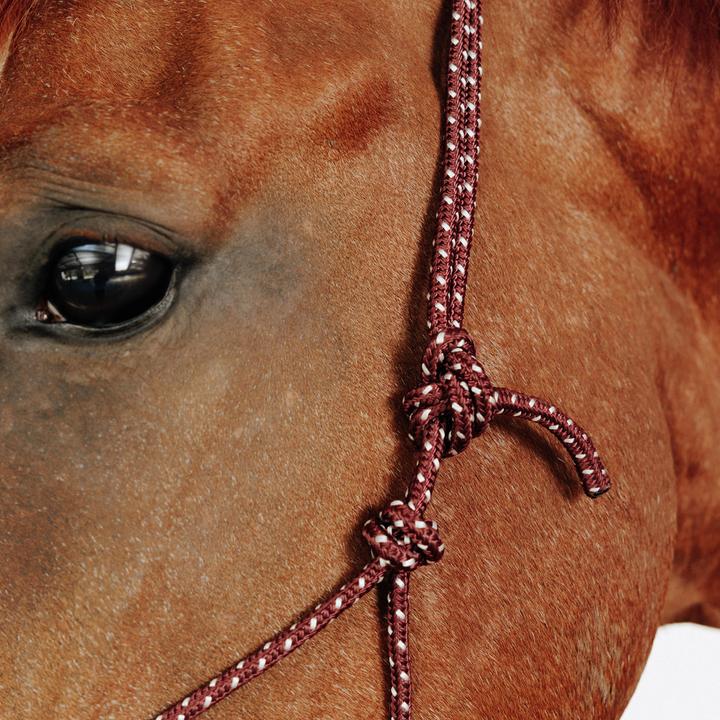 Immagine prodotto Caperlan Knotenhalfter Natural Horsemanship Pferd/Pony bordeaux