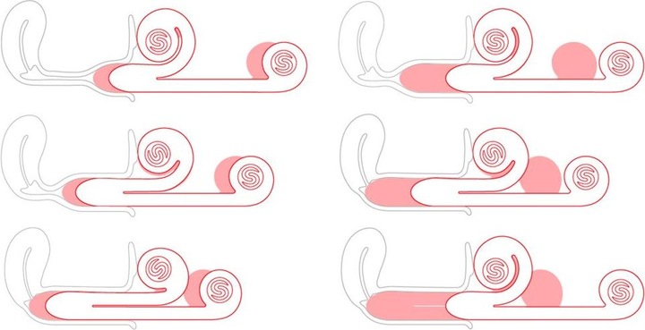 Productafbeelding Snail Vibe DuoVibrator