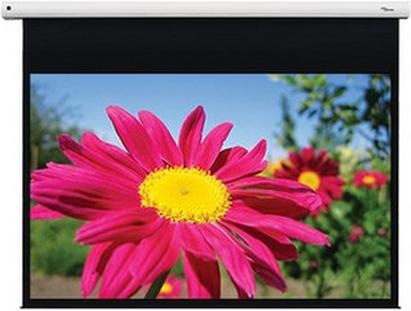 Actual product image Optoma DE-1123EGA (123", 16:10)