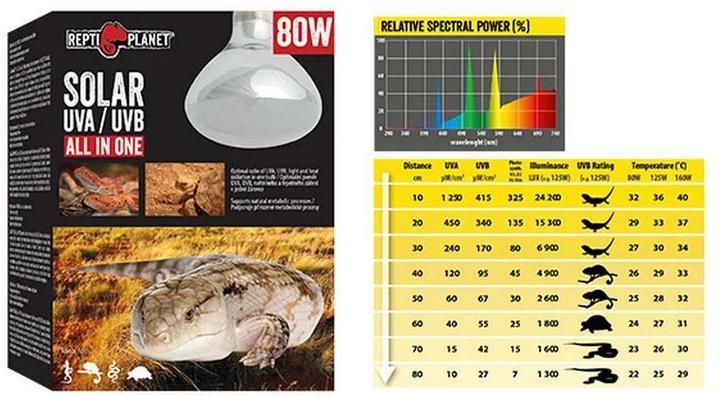 Immagine prodotto Repti Planet Lampada per terrario a luce solare con UVA e UVB 160 W (UVB, UVA)