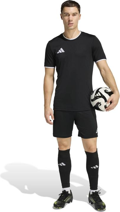 Actual product image Adidas Entrada T-Shirt (XL)